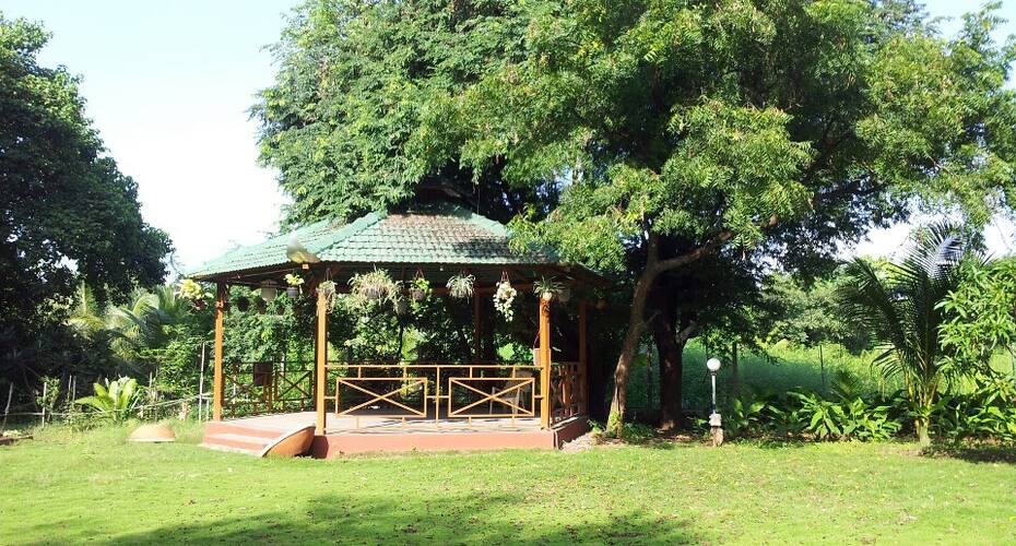 Red Castle Farms, Alibaug 2